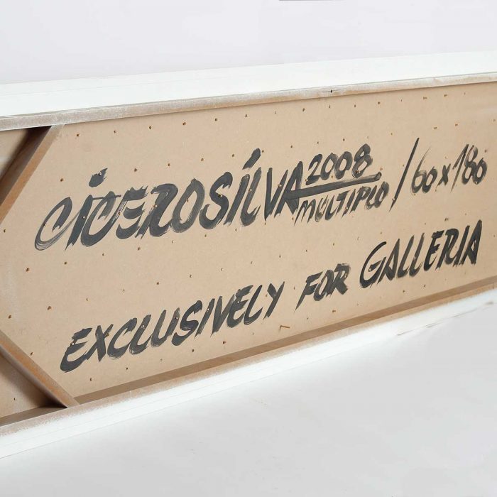Galerie Insighter Paris by Vanessa Metayer presents Cicero Silva